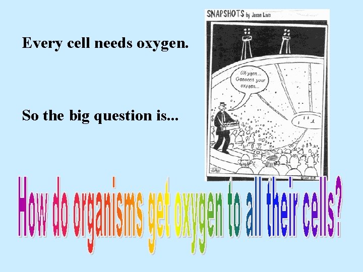 Every cell needs oxygen. So the big question is. . . 