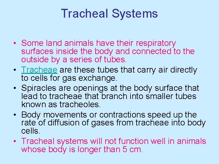 Tracheal Systems • Some land animals have their respiratory surfaces inside the body and