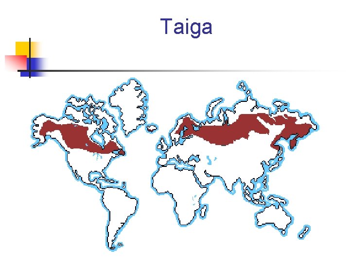 Taiga 