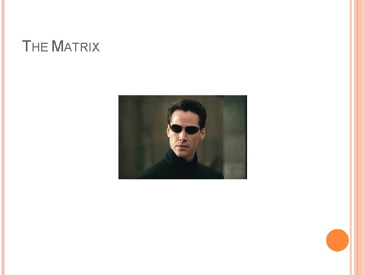 THE MATRIX 