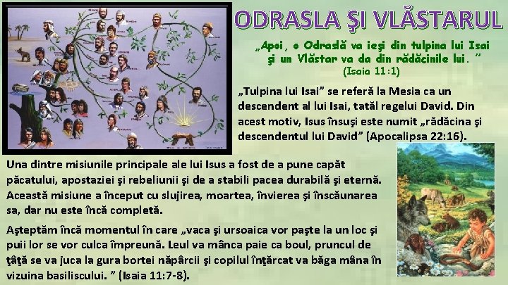 ODRASLA ŞI VLĂSTARUL „Apoi, o Odraslă va ieşi din tulpina lui Isai şi un