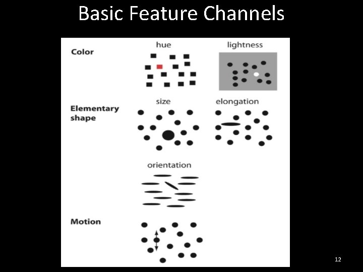 Basic Feature Channels 12 