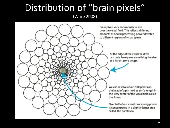 Distribution of “brain pixels” (Ware 2008) 6 