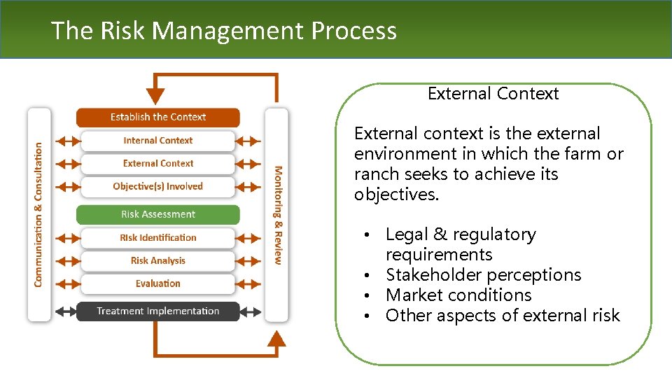 The Risk Management Process External Context External context is the external environment in which