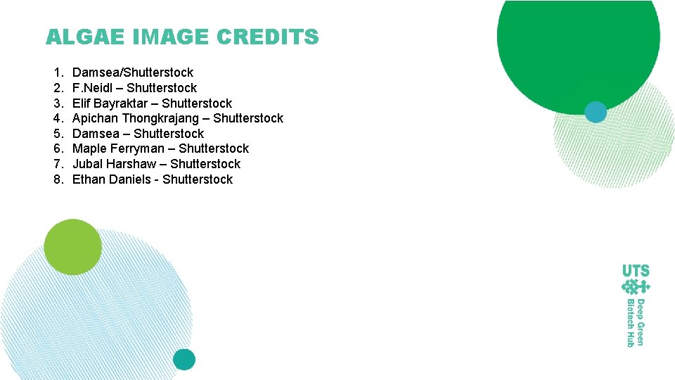 ALGAE IMAGE CREDITS 1. 2. 3. 4. 5. 6. 7. 8. Damsea/Shutterstock F. Neidl