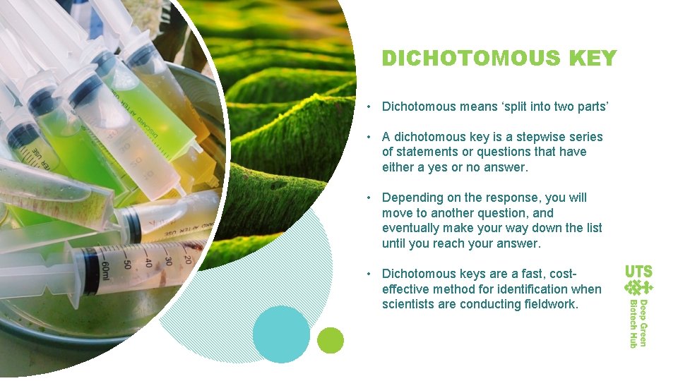 DICHOTOMOUS KEY • Dichotomous means ‘split into two parts’ • A dichotomous key is