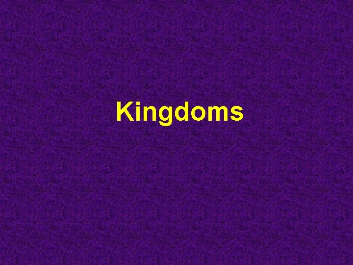 Kingdoms 