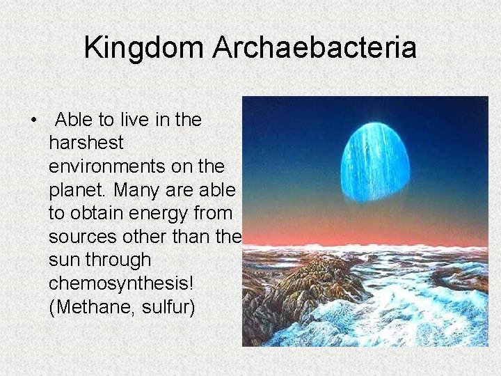 Kingdom Archaebacteria • Able to live in the harshest environments on the planet. Many
