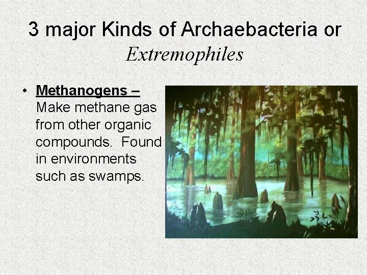 3 major Kinds of Archaebacteria or Extremophiles • Methanogens – Make methane gas from