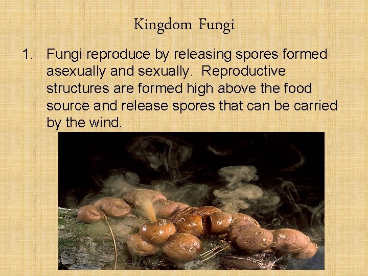 Kingdom Fungi 1. Fungi reproduce by releasing spores formed asexually and sexually. Reproductive structures