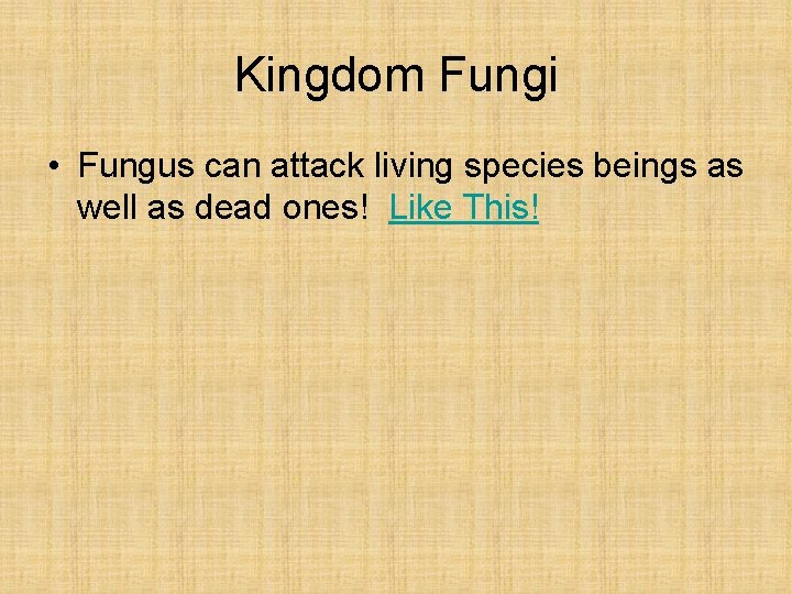 Kingdom Fungi • Fungus can attack living species beings as well as dead ones!