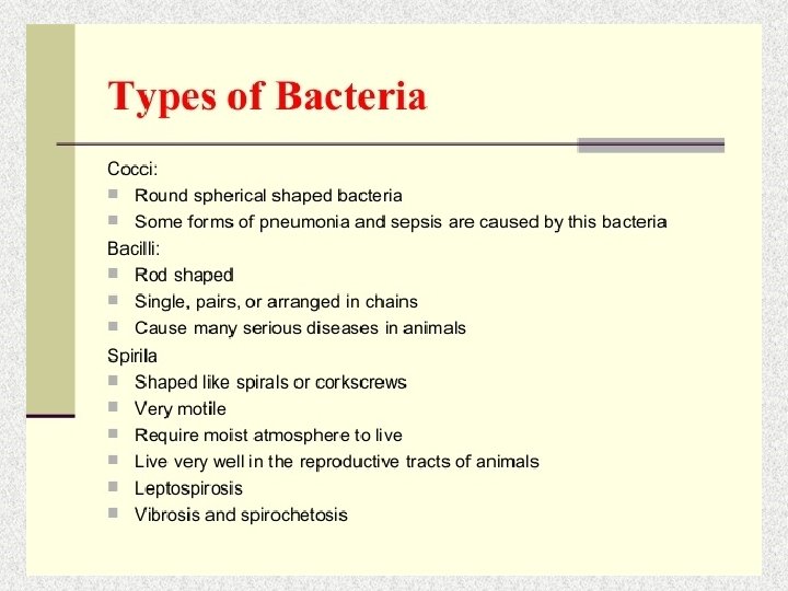Types of EUBACTERIA 