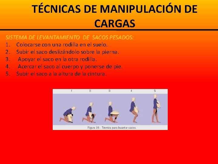 TÉCNICAS DE MANIPULACIÓN DE CARGAS SISTEMA DE LEVANTAMIENTO DE SACOS PESADOS: 1. Colocarse con TÉCNICAS DE MANIPULACIÓN DE CARGAS SISTEMA DE LEVANTAMIENTO DE SACOS PESADOS: 1. Colocarse con