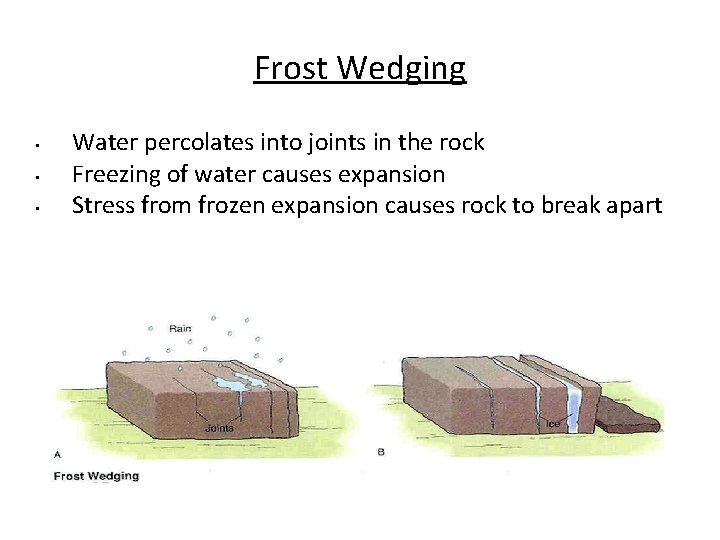 Frost Wedging • • • Water percolates into joints in the rock Freezing of