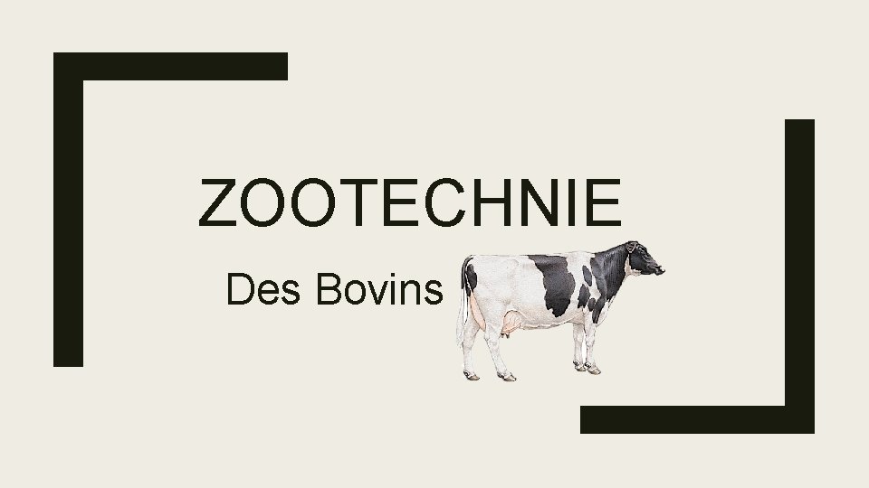 ZOOTECHNIE Des Bovins 