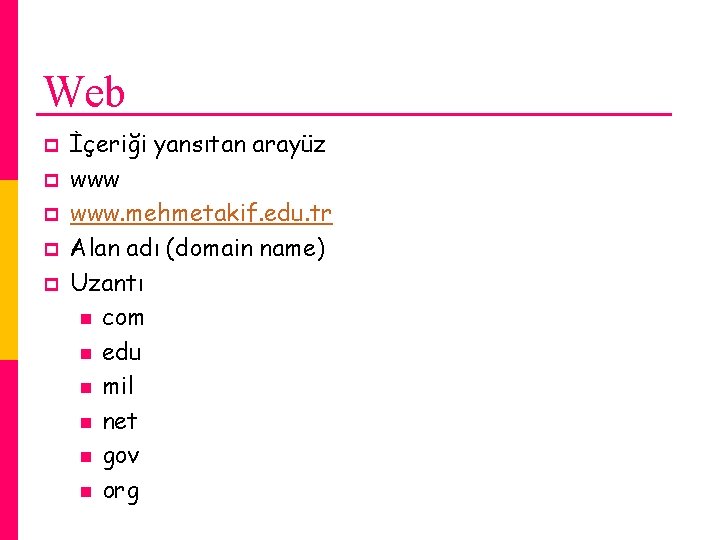 Web p p p İçeriği yansıtan arayüz www. mehmetakif. edu. tr Alan adı (domain