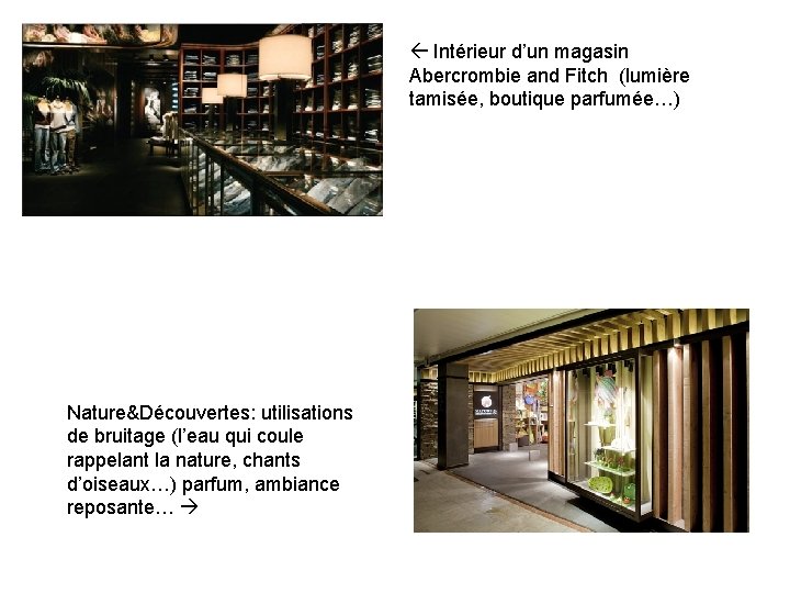  Intérieur d’un magasin Abercrombie and Fitch (lumière tamisée, boutique parfumée…) Nature&Découvertes: utilisations de