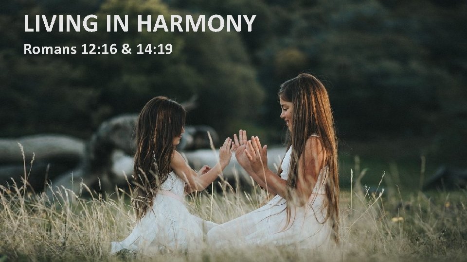 LIVING IN HARMONY Romans 12: 16 & 14: 19 