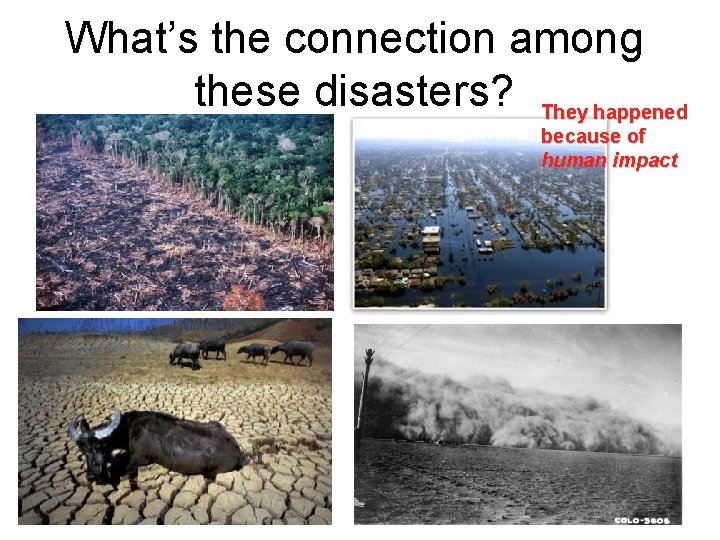 What’s the connection among these disasters? They happened because of human impact 