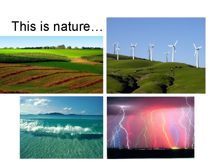 This is nature… 