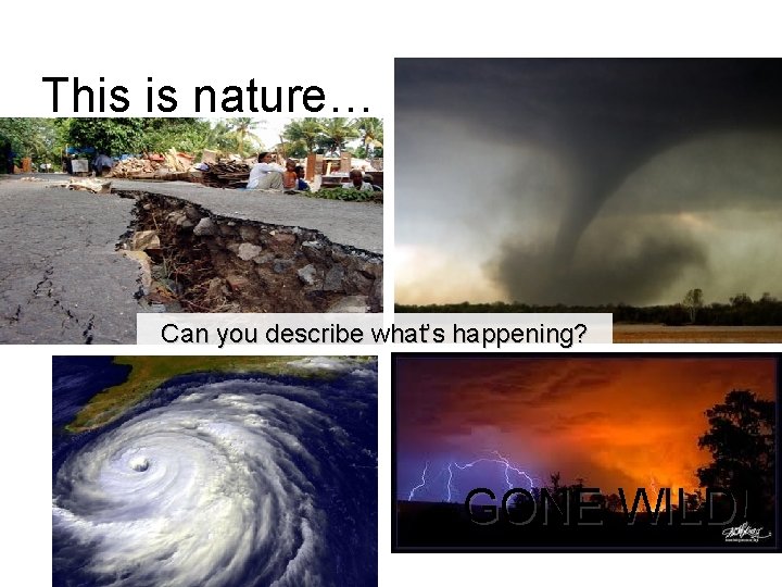 This is nature… Can you describe what’s happening? GONE WILD! 