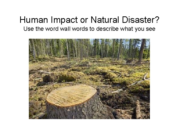Human Impact or Natural Disaster? Use the word wall words to describe what you