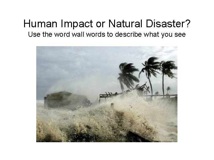 Human Impact or Natural Disaster? Use the word wall words to describe what you
