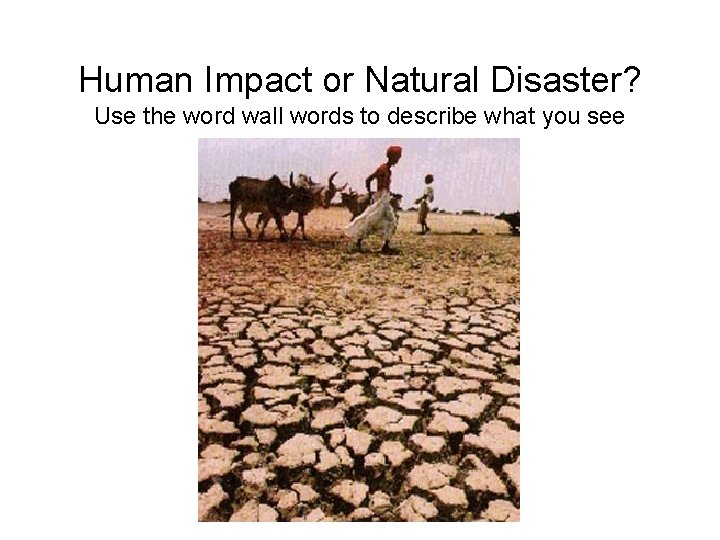Human Impact or Natural Disaster? Use the word wall words to describe what you