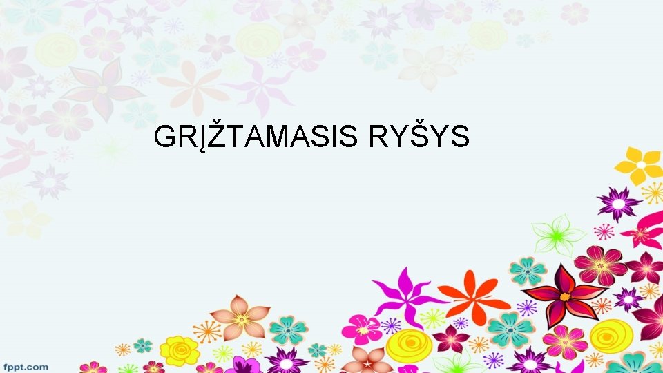 GRĮŽTAMASIS RYŠYS 