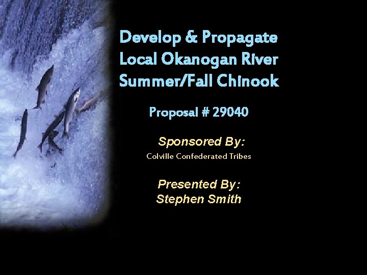 Develop & Propagate Local Okanogan River Summer/Fall Chinook Proposal # 29040 Sponsored By: Colville