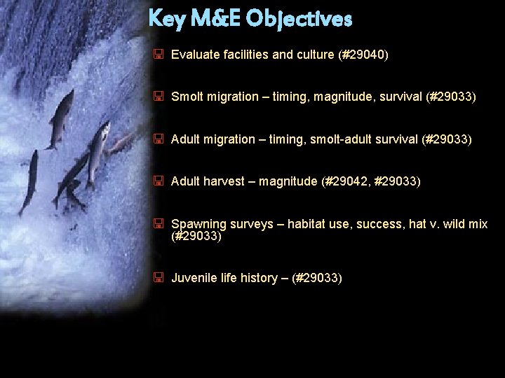 Key M&E Objectives < Evaluate facilities and culture (#29040) < Smolt migration – timing,
