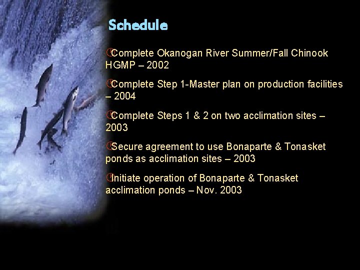 Schedule ·Complete Okanogan River Summer/Fall Chinook HGMP – 2002 ·Complete Step 1 -Master plan