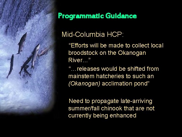 Programmatic Guidance Mid-Columbia HCP: “Efforts will be made to collect local broodstock on the