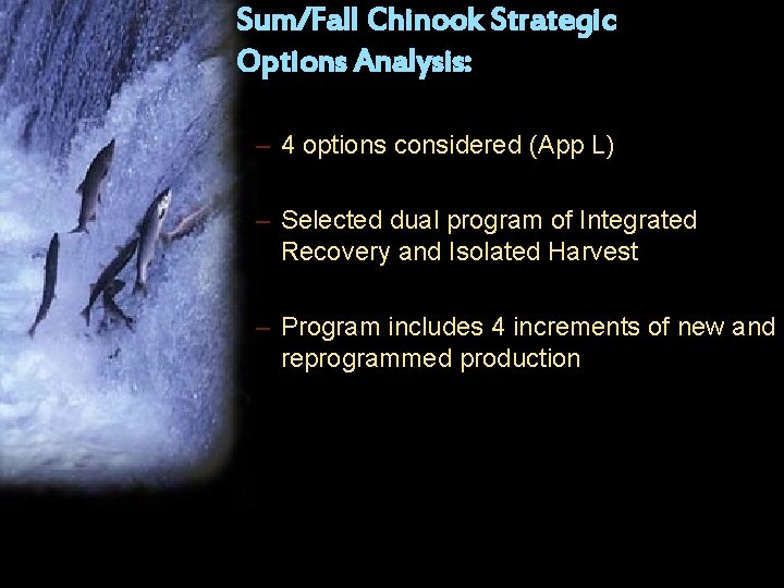 Sum/Fall Chinook Strategic Options Analysis: – 4 options considered (App L) – Selected dual