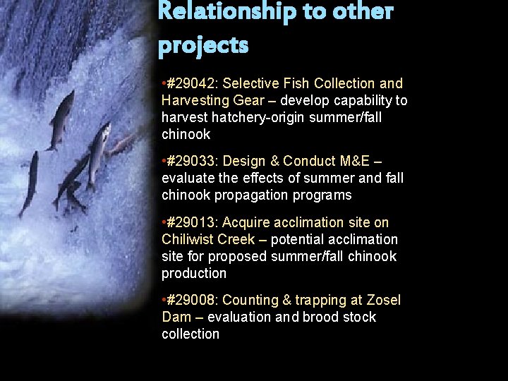 Relationship to other projects • #29042: Selective Fish Collection and Harvesting Gear – develop