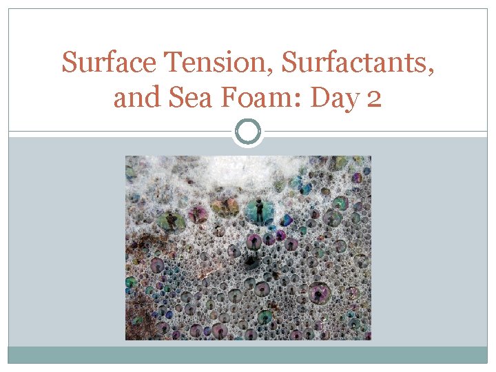Surface Tension, Surfactants, and Sea Foam: Day 2 