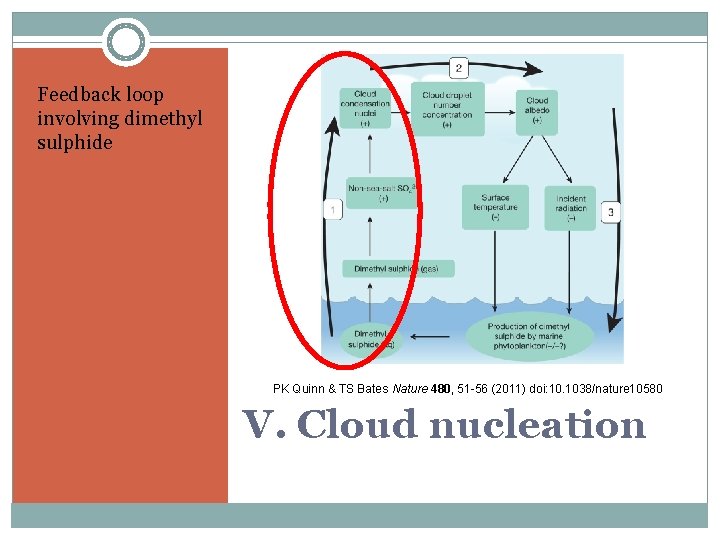 Feedback loop involving dimethyl sulphide PK Quinn & TS Bates Nature 480, 51 -56