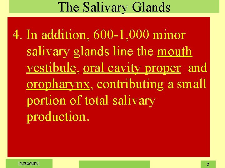 The Salivary Glands 4. In addition, 600 -1, 000 minor salivary glands line the