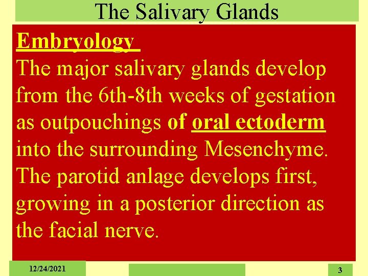 The Salivary Glands Embryology The major salivary glands develop from the 6 th-8 th