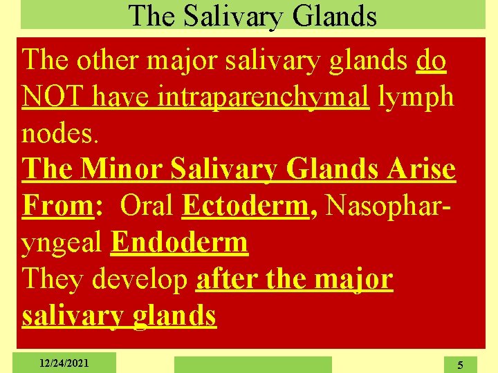 The Salivary Glands The other major salivary glands do NOT have intraparenchymal lymph nodes.