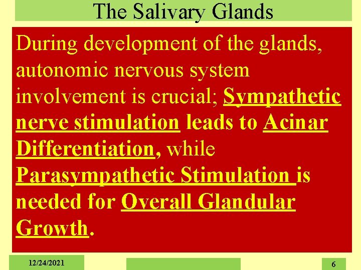 The Salivary Glands During development of the glands, autonomic nervous system involvement is crucial;