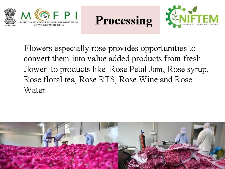 Processing Flowers especially rose provides opportunities to convert them into value added products from
