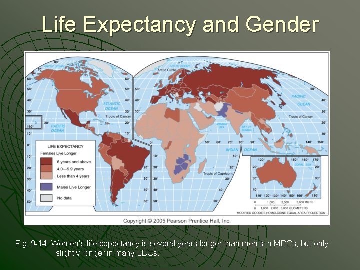 Life Expectancy and Gender Fig. 9 -14: Women’s life expectancy is several years longer