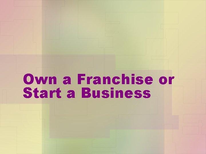 Own a Franchise or Start a Business 