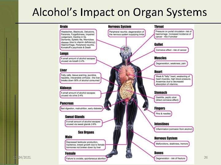 Alcohol’s Impact on Organ Systems 12/24/2021 26 