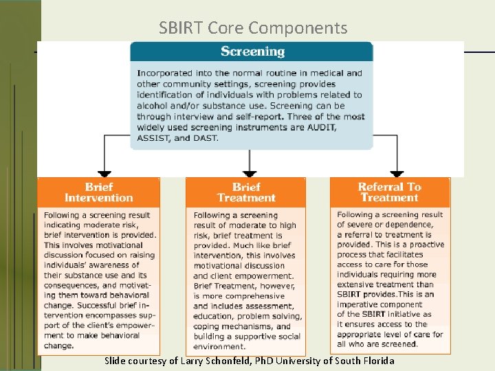 SBIRT Core Components Slide courtesy of Larry Schonfeld, Ph. D University of South Florida