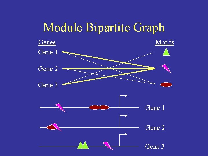 Module Bipartite Graph Genes Gene 1 Motifs Gene 2 Gene 3 Gene 1 Gene