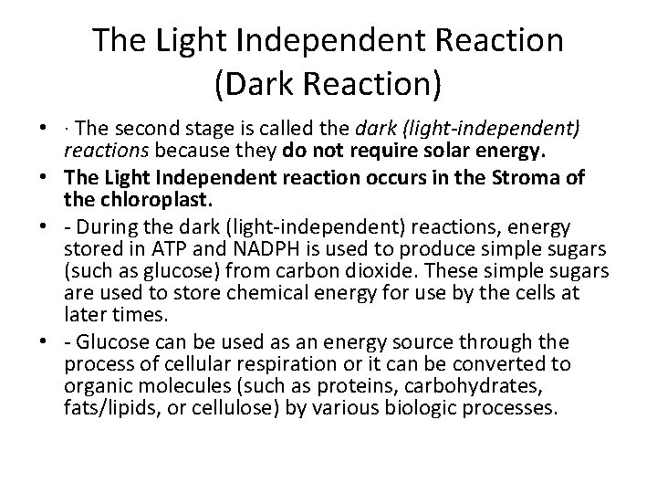 The Light Independent Reaction (Dark Reaction) • · The second stage is called the