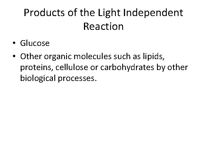 Products of the Light Independent Reaction • Glucose • Other organic molecules such as