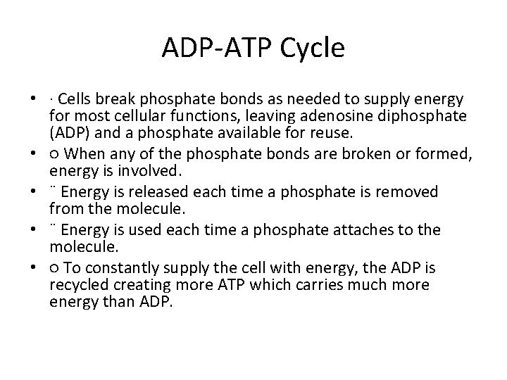 ADP-ATP Cycle • · Cells break phosphate bonds as needed to supply energy for